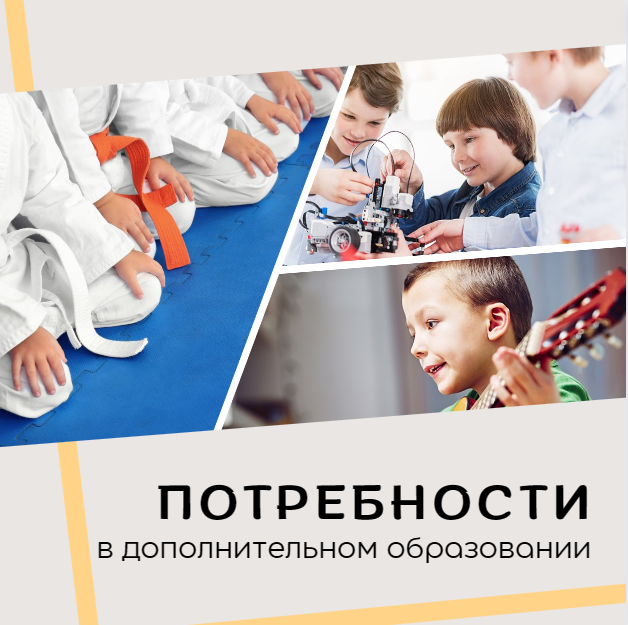 Потребность в дополнительном образовании детей в городе Кирове.